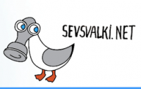 35-   Sevsvalki.net