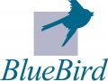         $165   BlueBird