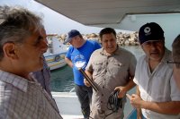 Международная подводно-археологическая экспедиция СевГУ стартовала в Сирии