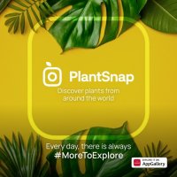 PlantSnap      Huawei AppGallery