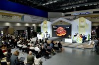  AmberForum     70    