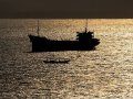 В Севастополь вернулось два моряка с захваченного нигерийскими пиратами судна