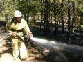 За прошедшую неделю севастопольские пожарные 31 раз выезжали по сигналу «Тревога»