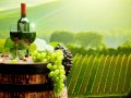 Понятие «российское вино» нужно закрепить на законодательном уровне
