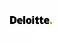       Deloitte  11,3 