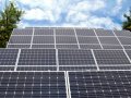 BNEF  LONGi Solar      PV-