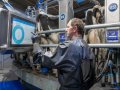  Eurotier Innovation Award  Dairymaster    
