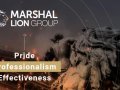 Объявлено о IEO проекта Marshal Lion Group на бирже IDAX 30-31 октября