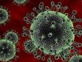 Пять вопросов про вирусы. Насколько высока вероятность заразиться коронавирусом?