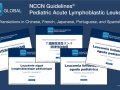      NCCN Guidelines