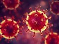 В Кувейте для лечения коронавируса одобрены капсулы Ляньхуа Цинвэнь