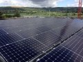 Risen  UPC-AC Energy Solar      