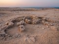 Новые археологические находки в Абу-Даби доказали, что люди жили в Персидском заливе еще 8500 лет назад