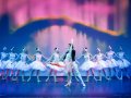 Всемирный день балета в Санкт-Петербурге отметят онлайн-трансляцией балета «Лебединое озеро»